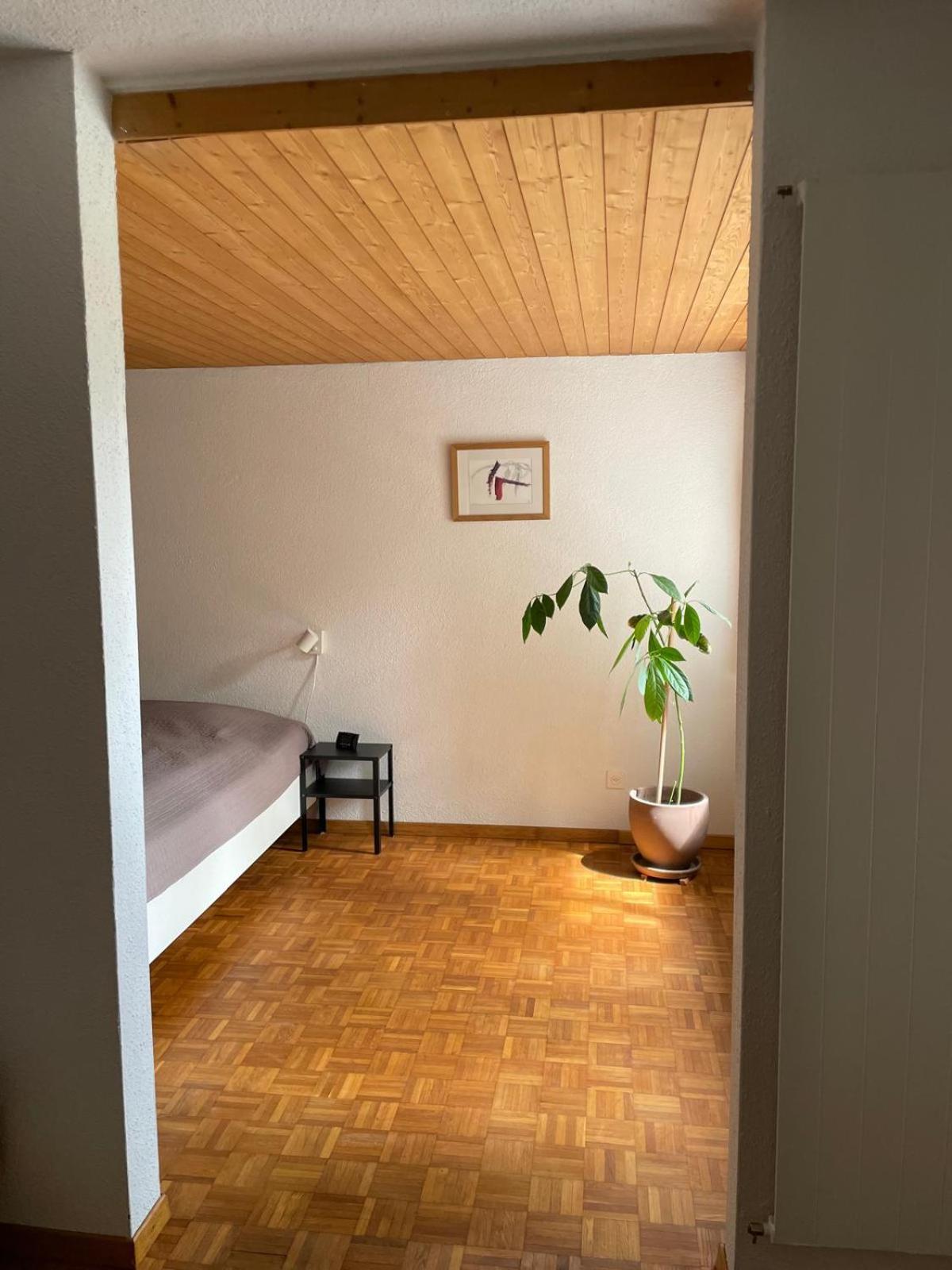 2.5 Zimmerwohnung, Pinut Trin Exteriör bild